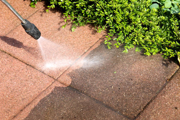 Best Roof Pressure Washing  in Atlanta, TX